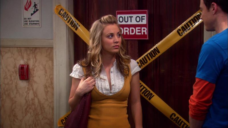 Теория большого взрыва - 2 сезон - 20 серия