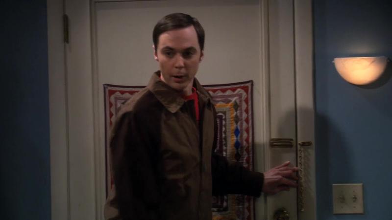 Теория большого взрыва - 5 сезон - 8 серия