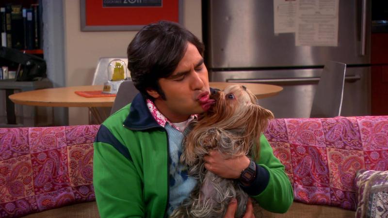 Теория большого взрыва - 6 сезон - 21 серия