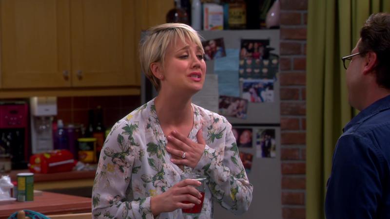 Теория большого взрыва - 8 сезон - 6 серия