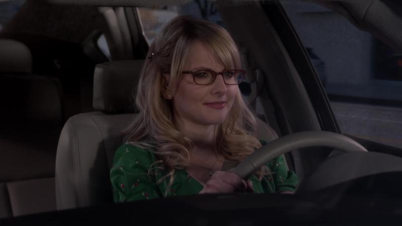 Теория большого взрыва - 8 сезон - 11 серия