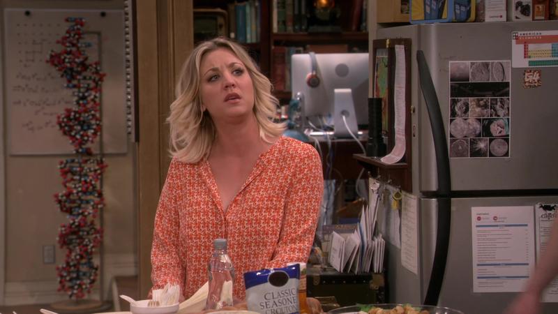 Теория большого взрыва - 9 сезон - 21 серия