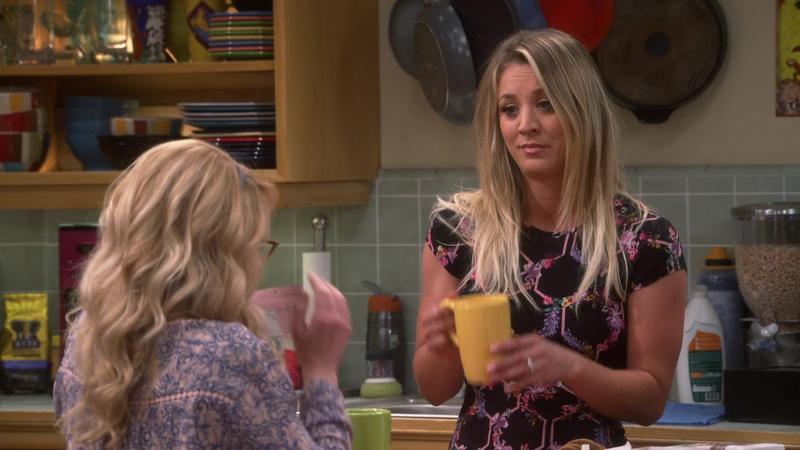 Теория большого взрыва - 10 сезон - 24 серия