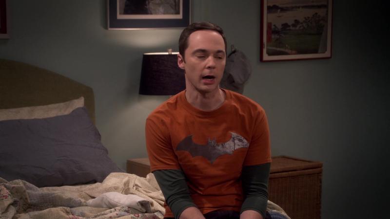 Теория большого взрыва - 10 сезон - 11 серия