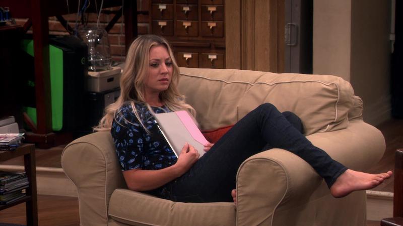 Теория большого взрыва - 10 сезон - 10 серия