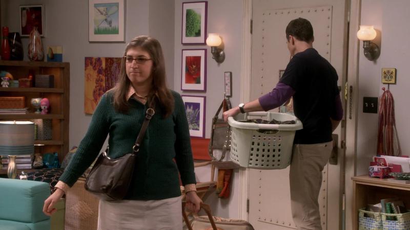 Теория большого взрыва - 10 сезон - 4 серия